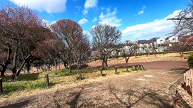 gx010309_x264.mp4_snapshot_00.18_thumb.jpg