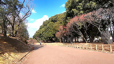 gx010310_x264.mp4_snapshot_00.02_thumb.jpg