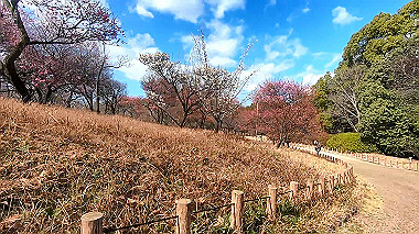 gx010310_x264.mp4_snapshot_00.32_thumb.jpg