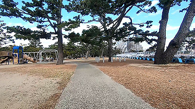 gx010323_x264.mp4_snapshot_02.10_thumb.jpg
