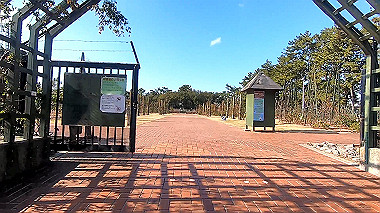 gx010326_x264.mp4_snapshot_01.05_thumb.jpg