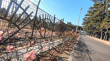 gx010326_x264.mp4_snapshot_02.52_thumb.jpg