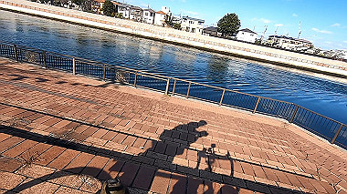 gx010334_x264.mp4_snapshot_00.44_thumb.jpg