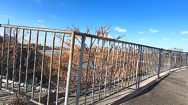 gx010343_x264.mp4_snapshot_00.08_thumb.jpg