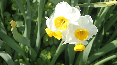 p1290722_thumb.jpg