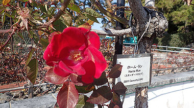 p1290730_thumb.jpg
