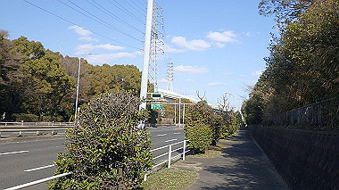 p1290752_thumb.jpg