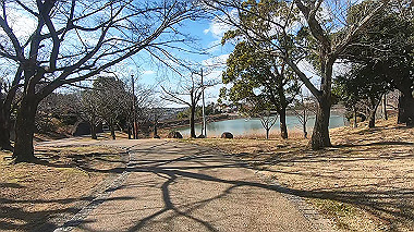 gx010359.mp4_snapshot_01.11_thumb.jpg