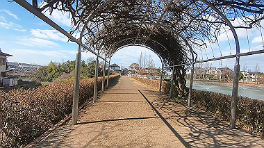 gx010359.mp4_snapshot_01.44_thumb.jpg