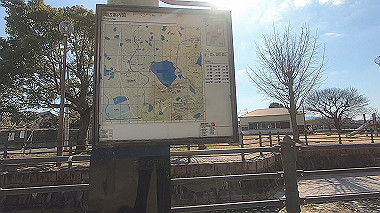 gx010363.mp4_snapshot_01.01_thumb.jpg