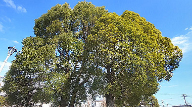gx010364.mp4_snapshot_00.40_thumb.jpg