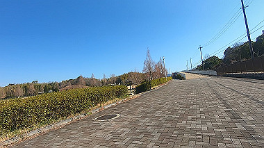 gx010369.mp4_snapshot_01.33_thumb.jpg