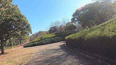 gx010369.mp4_snapshot_03.04_thumb.jpg