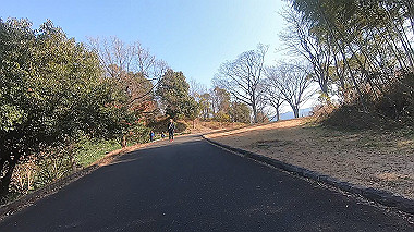 gx010369.mp4_snapshot_04.14_thumb.jpg