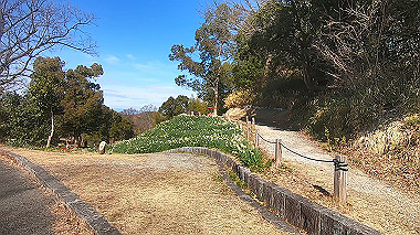 gx010369.mp4_snapshot_04.37_thumb.jpg