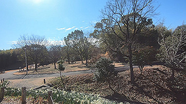 gx010369.mp4_snapshot_05.12_thumb.jpg