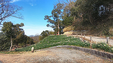 gx010370.mp4_snapshot_00.01_thumb.jpg