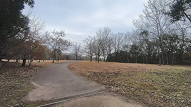 gx010376.mp4_snapshot_00.13_thumb.jpg
