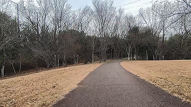 gx010376.mp4_snapshot_00.45_thumb.jpg