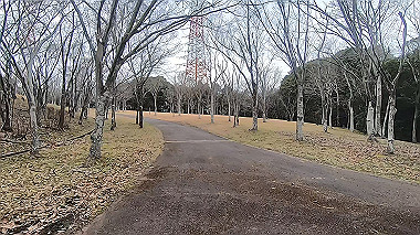 gx010376.mp4_snapshot_01.15_thumb.jpg
