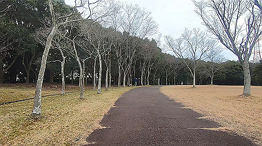 gx010376.mp4_snapshot_02.34_thumb.jpg