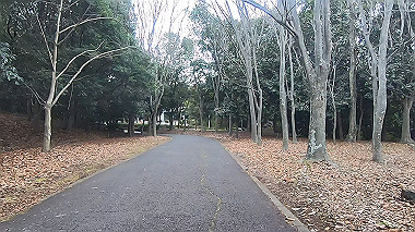 gx010376.mp4_snapshot_03.02_thumb.jpg