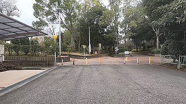 gx010377.mp4_snapshot_02.52_thumb.jpg
