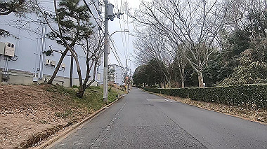 gx010378.mp4_snapshot_00.50_thumb.jpg