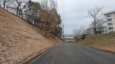 gx010378.mp4_snapshot_02.16_thumb.jpg