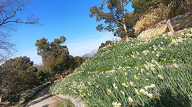 gx020369.mp4_snapshot_01.55_thumb.jpg
