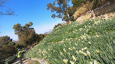 gx020369.mp4_snapshot_02.27_thumb.jpg