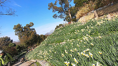 gx020369.mp4_snapshot_05.35_thumb.jpg