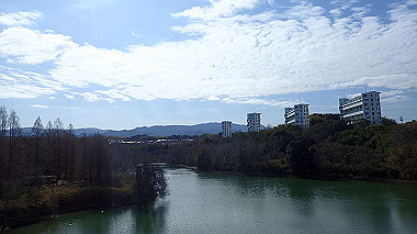 p2030762_thumb.jpg