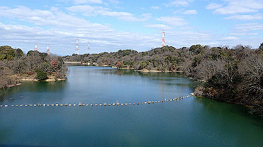 p2030763_thumb.jpg