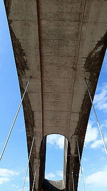 p2030766_thumb.jpg