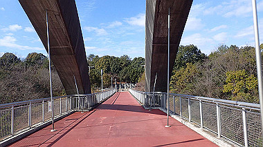 p2030767_thumb.jpg