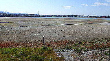 p2030768_thumb.jpg