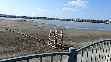 p2030773_thumb.jpg