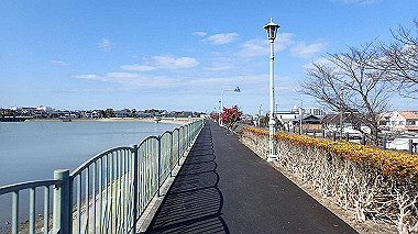 p2030775_thumb.jpg