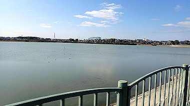 p2030776_thumb.jpg