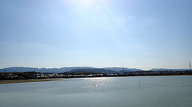 p2030778_thumb.jpg