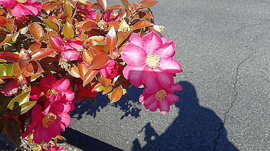 p2030779_thumb.jpg