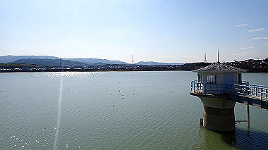 p2030783_thumb.jpg