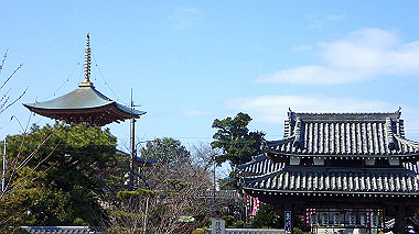 p2030787_thumb.jpg