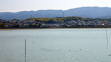 p2030788_thumb.jpg