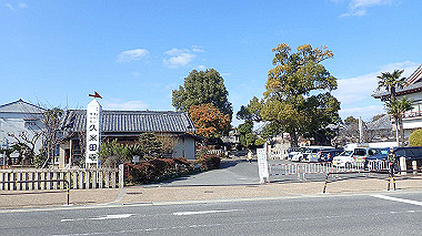 p2030789_thumb.jpg