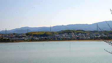 p2030791_thumb.jpg