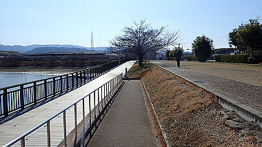 p2030794_thumb.jpg