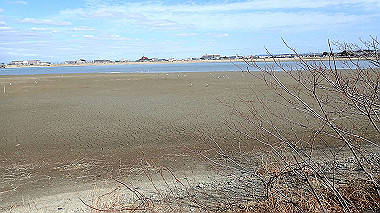 p2030799_thumb.jpg