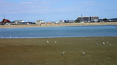 p2030800_thumb.jpg